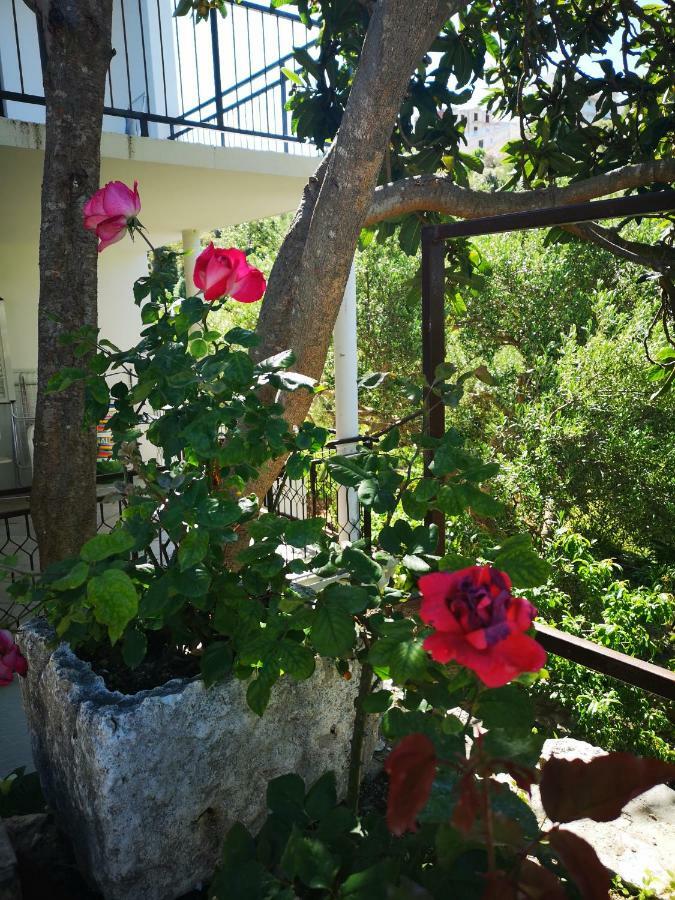 Apartman Sissy Primošten Zewnętrze zdjęcie